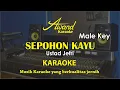 Download Lagu Sepohon Kayu Karaoke | Male | Nada Pria