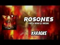 ROSONES - Fuerza Regida ✘ Jorsshh ||KARAOKE 2025 🔥🔥||