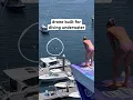 Download Lagu This Drone Is A Professional Cliff Diver 🤿
