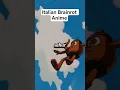 Download Lagu Italian Brainrot Anime Opening😂💀 @Salloia #meme #edit #brainrot #anime #italianbrainrot
