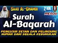 Download Lagu SURAT AL BAQARAH FULL PENGUSIR JIN SETAN DAN PELINDUNG RUMAH DARI SEGALA KEBURUKAN | Saad Al-Ghamdi