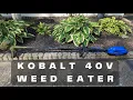 Kobalt 40v Weed Eater Review