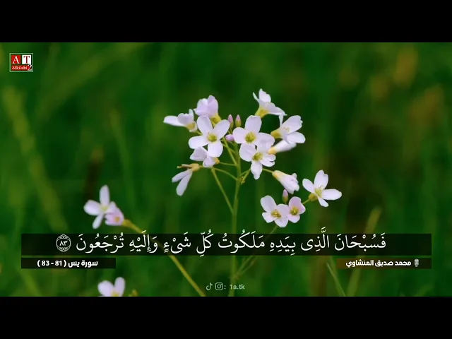 ⁣أَولَيسَ الّذِي خَلَق السماوَاتِ والْأَرضَ بِقادِرٍ .. || الله على الجمال.. الشيخ محمد صديق المنشاوي