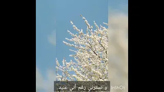 سأقبل يا خالقي من جديد بدون إيقاع مع الكلمات 