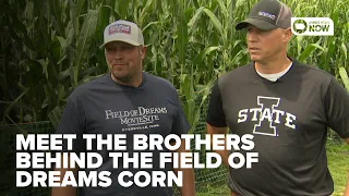 Meet the brothers behind the most iconic cornfield in America