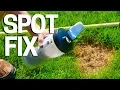 Easy TRICK to Fix Bare Spots in the Lawn - Pet Damage