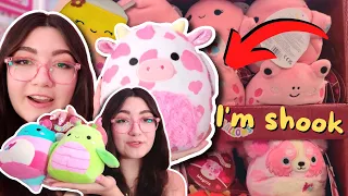 squishmallow hunting for VDAY ISOs my BEST HAUL EVER
