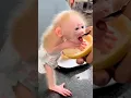 Download Lagu Her First Taste of Love — and Look at That Baby Smile!