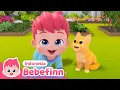 Download Lagu Bebefinn dan Si Kucing | Kumpulan Lagu Anak | Bebefinn Bahasa Indonesia