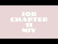 Job 11 NIV Read by a Black Woman Spoken Word Style Bible Noir