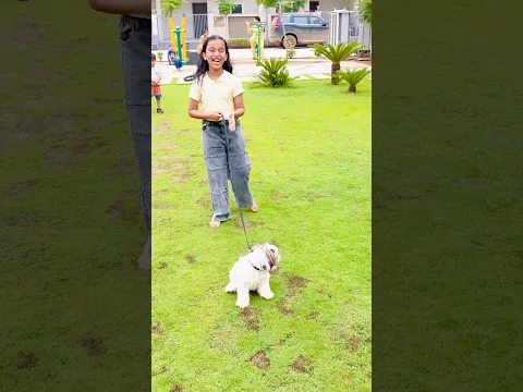 amaira ka dog bhi h chalak😂 #thegeetagurjar #shorts