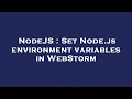 NodeJS Set Node js environment variables in WebStorm