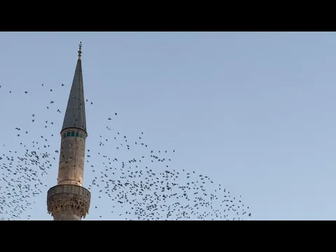 Video Thumbnail: Cem Yıldız - Meskenim Ayrılık (Official Video)