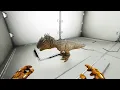 Ark Survival Ascended All Chbis in game so far