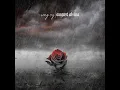 Song Cry