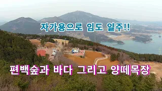 임도를 자가용으로 일주하면서 편백숲과 양떼목장에서 힐링할수 있는곳//남해바다!! 썸네일