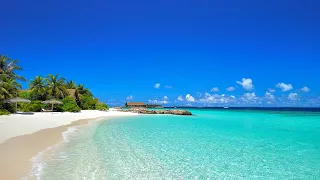 Paradise Found Wild Beach And Crystal Ocean Waters Relaxing Ocean Video 4K Ultra HD 