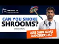 Smoke Shrooms Experiment What Happens Inside Your Brain