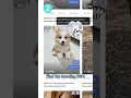 Download Lagu How to Download Trending TikTok Sounds/Music (MP3/MP4)? #tiktokvideo #tiktokdownloader #tiktokviral