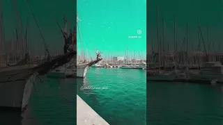 فيفا اسبانيا دندنها