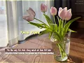 [Vietsub] Jeff Bernat- This time