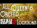 Red Dead Redemption 2 - All 9 Queen s Orchid Locations Duchesses and Other Animals Exotics