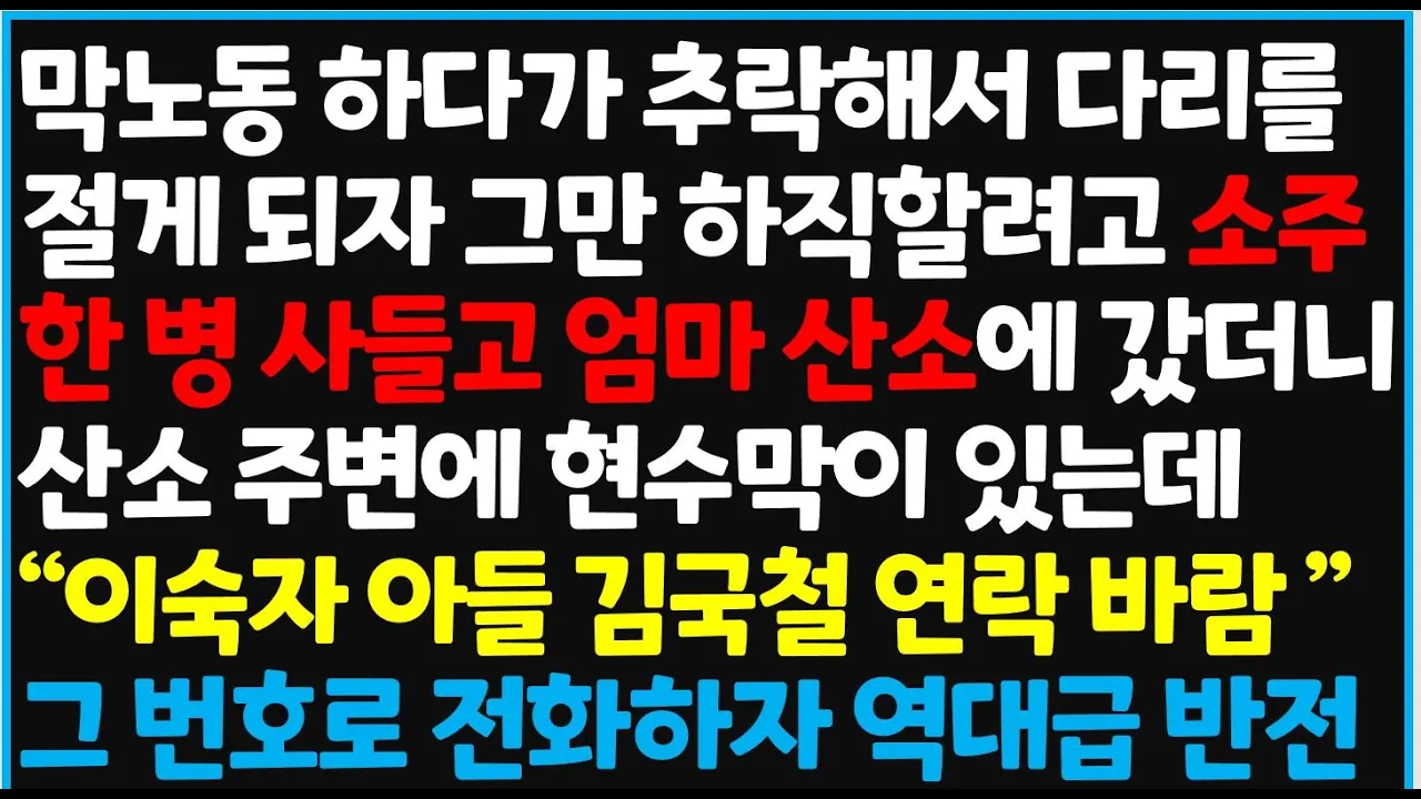 Outline Video (신청사연) 막노동 하다가 추락해서 다리를 절게 되자 그만 하직할려고 소주 한 병 사들고 엄마 산소에 갔더니 산소 주변에 현수막 [사이다사연][감동사연][라디오 드라마][오디오북]