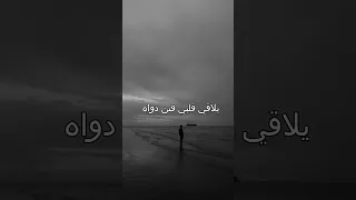 حمزه نمره رياح الحياة تهبي يا رياح الحياة ديما بما لا أشتهيه 