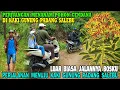 Download Lagu PERJALANAN UNTUK MENANAM POHON CENDANA DI KAKI GUNUNG PADANG DESA SALEBU MAJENANG CILACAP