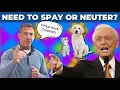 Spaying and Neutering Pets Myths Debunked Health Benefits Explained by Dr Sean McPeck