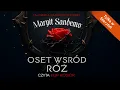 Oset wśród róż Autor Margit Sandemo Lektor Filip Kosior Fantastyka po Polsku książki AudioBook PL