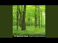 Download Lagu Celestial Dreams