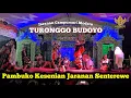 Download Lagu Kesenian Jaranan Senterewe TURONGGO BUDOYO - Live Lapangan Gesikan Pakel Tulungagung - AILA Audio