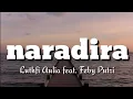 Lagu naradira - Luthfi Aulia feat. Feby Putri (lirik)