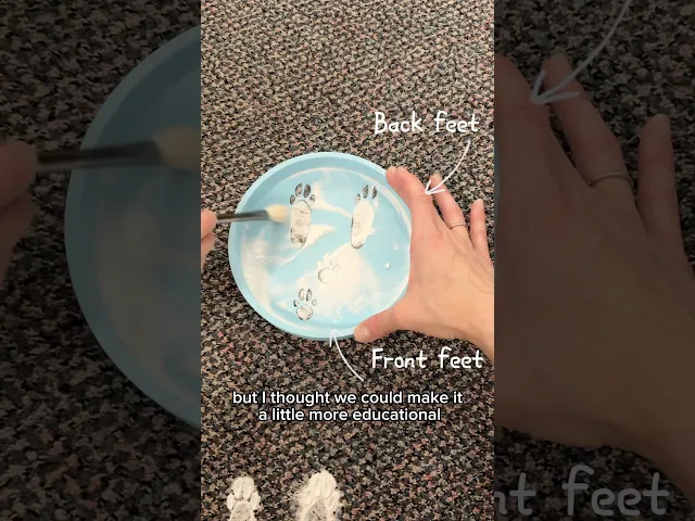 Bunny Print  Stencil video thumbnail