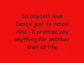 Fall Out Boy - Disloyal Order of Water Buffaloes [With Lyrics]