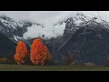 Feist - Gatekeeper (One Room One Hour mix) [가사해석/번역]