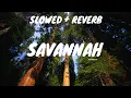 Download Lagu Savannah Slowed and reverb/ncs diviners