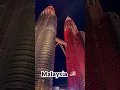 Malaysia 🇲🇾 #music #newmusic #remix #dj #summervibes #art #travel #fromtherivertothesea #auto