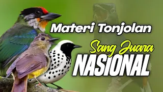 masteran paling di cari tembakan tajam tonjolan mewah materi sang jawara