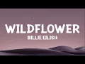 Download Lagu Billie Eilish  - WILDFLOWER (Lyrics)