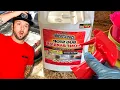 Spectracide Bug Stop Review 12-Month Home Insect Control Kills on Contact Indoors