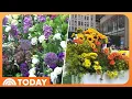 Macy s s 2026 Flower Show and More Milestone Events