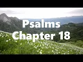 The Book of Psalms Chapter 18 - New King James Version NKJV