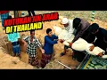 Download Lagu UNIK....!!! FILM HOROR THAILAND NAMUN BERTEMA ISLAMI !!