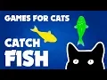 FISH GAME FOR CATS games for cats