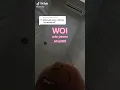 ada pesan asu