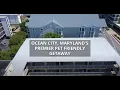 Ocean City Maryland s Premier Pet-Friendly Getaway