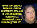 Download Lagu Девочка Тащила На Санках Деда По Снегу… Дальше Случилось То, Что Тронет До Слёз!