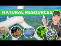 Natural Resources Renewable Nonrenewable Resources